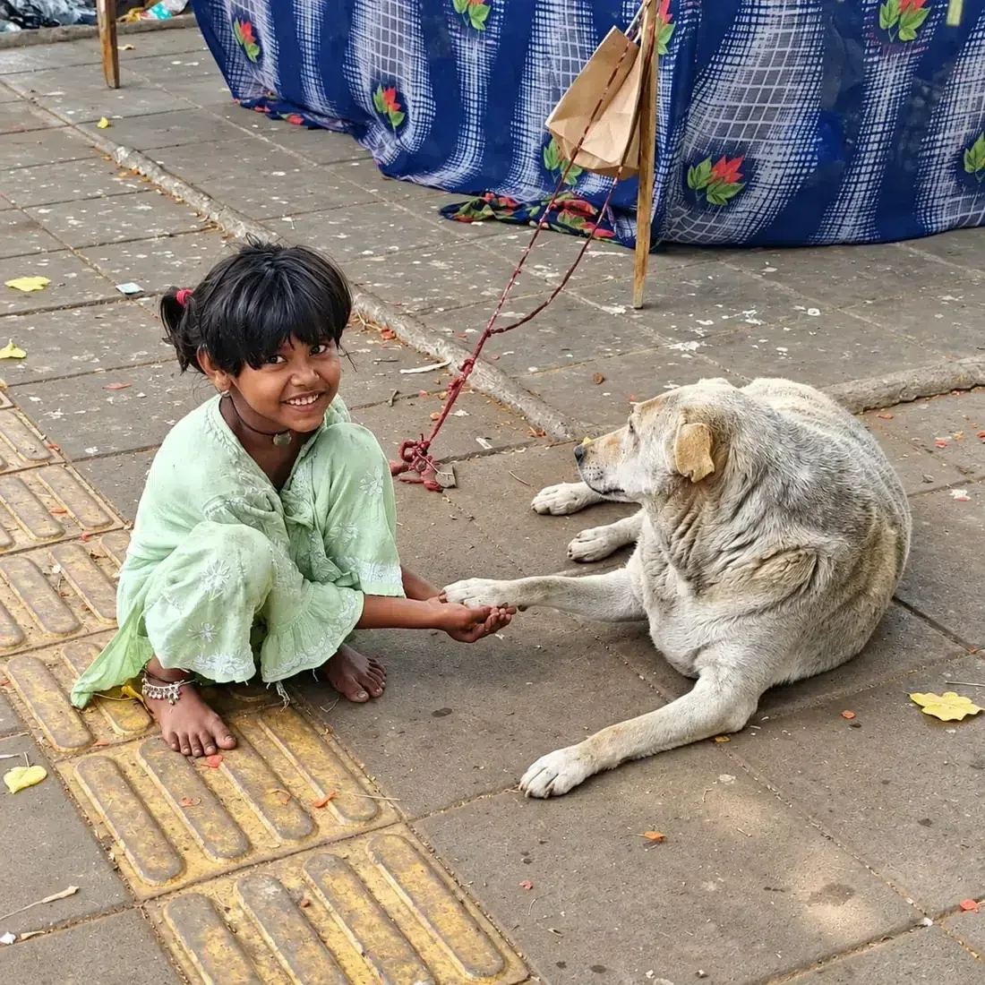 Child gently interacting with a community dog